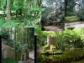 /album/galeria-de-fotos-parque-da-pena/diapositivo37-jpg/